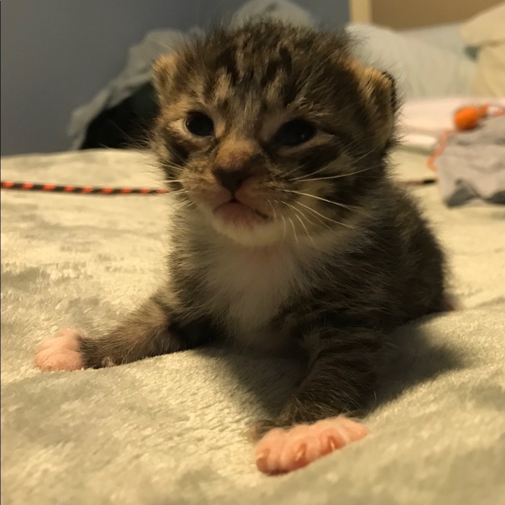 Meet your Posher, Cyndi